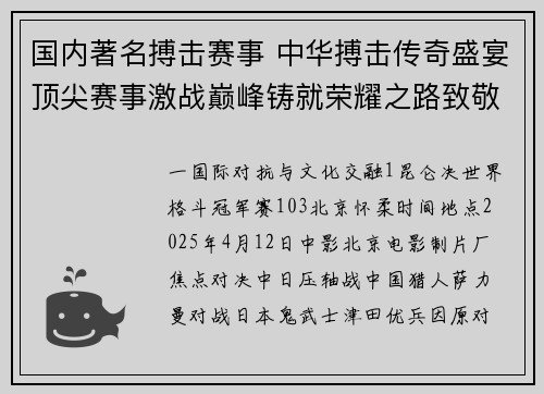 国内著名搏击赛事 中华搏击传奇盛宴顶尖赛事激战巅峰铸就荣耀之路致敬武术精神